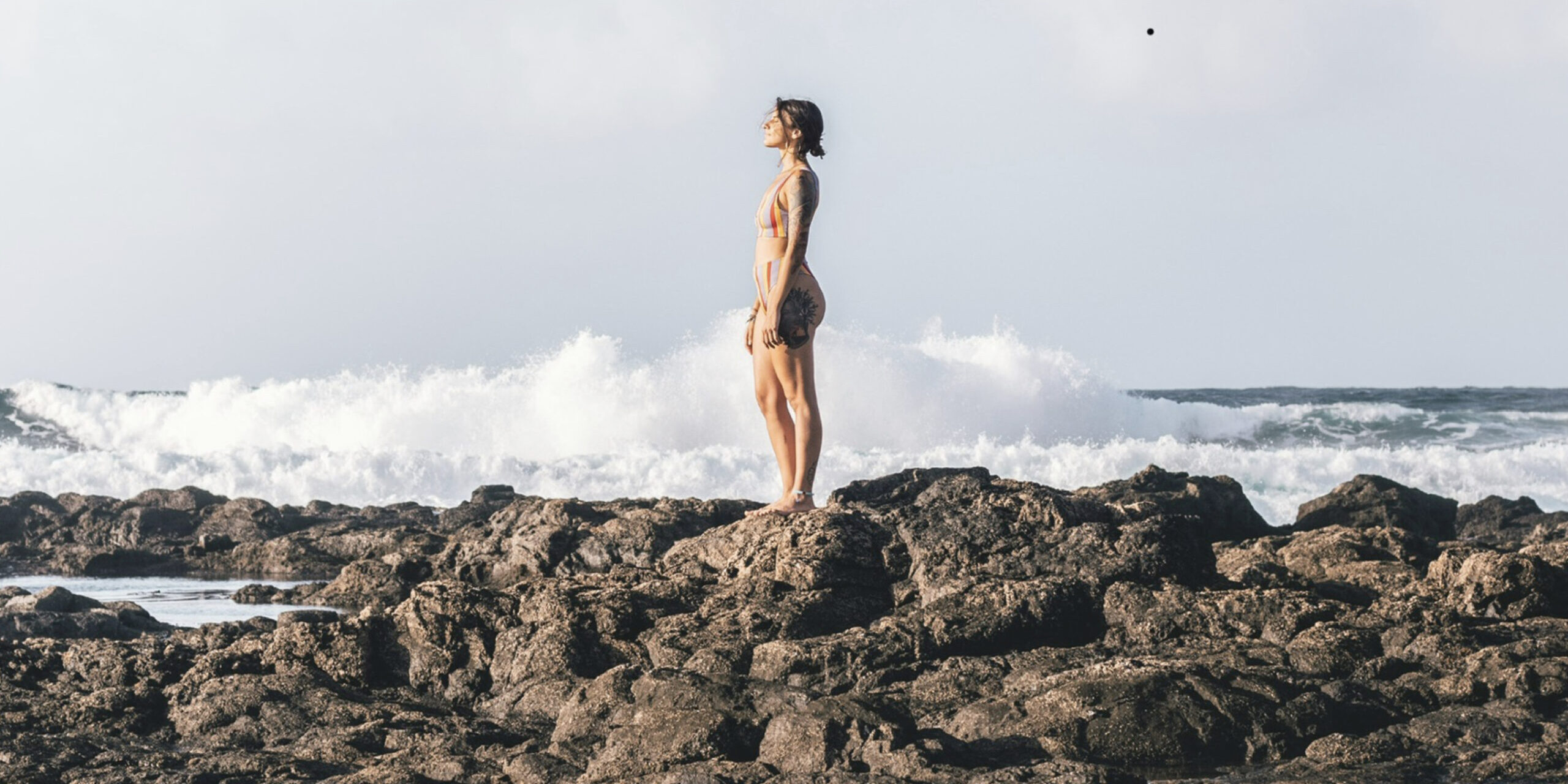 C693CF0D-4C45-4E56-9EA9-9D6FD0B9E7EA